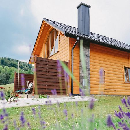 Domki Pod Bukowym Lasem Wańkowa Exterior foto