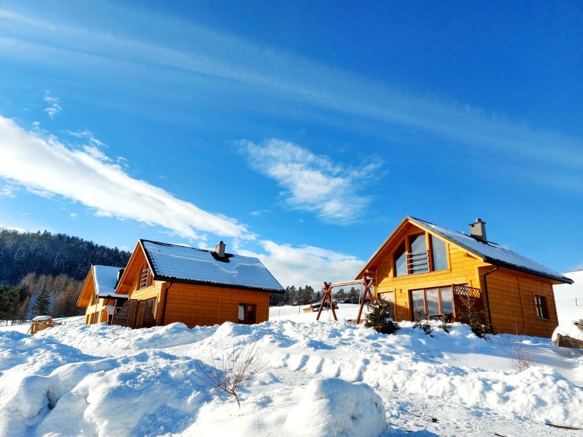 Domki Pod Bukowym Lasem Wańkowa Exterior foto