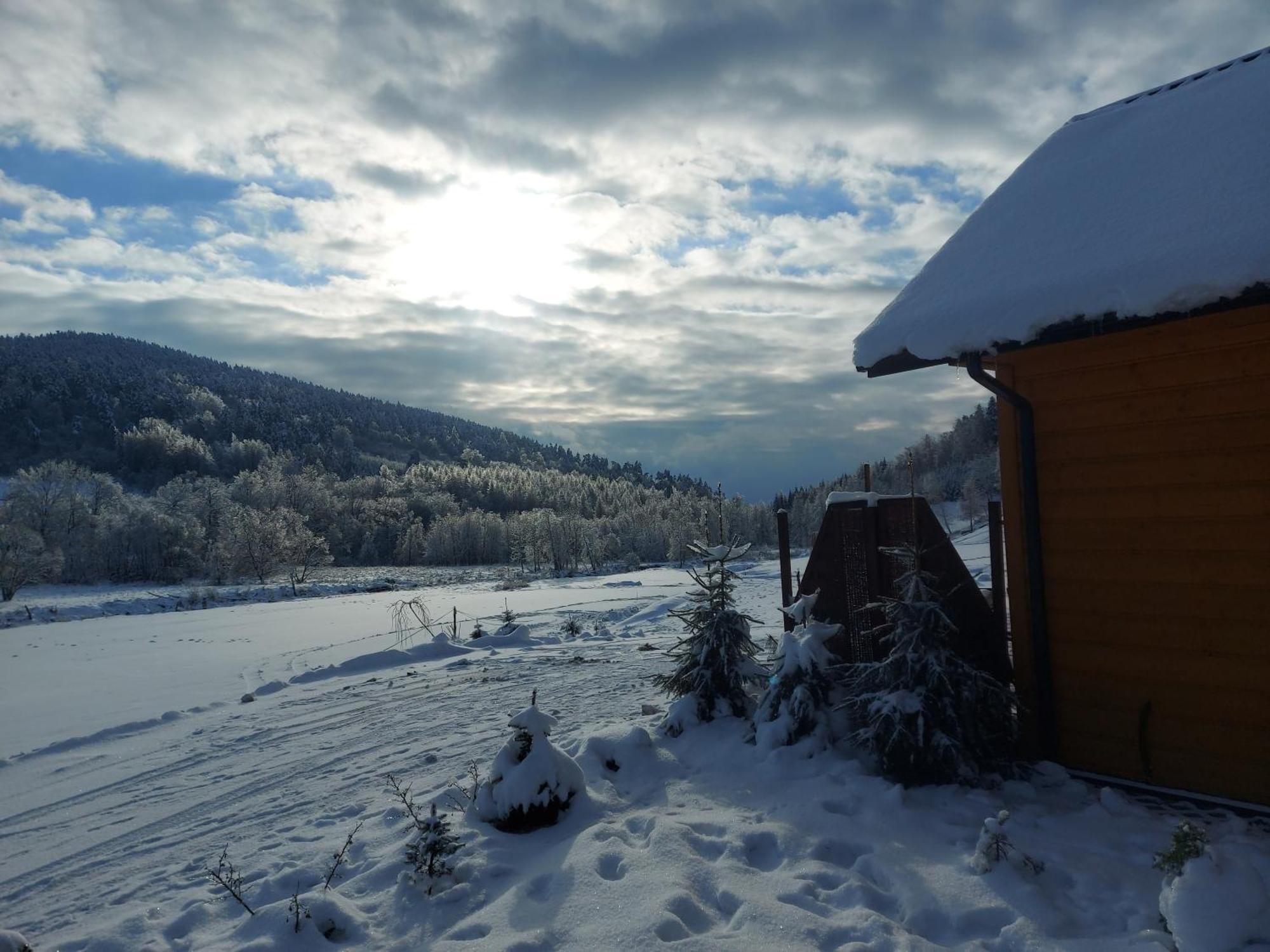 Domki Pod Bukowym Lasem Wańkowa Exterior foto